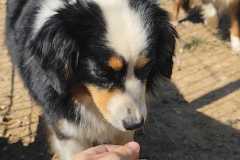 IMG-20250628-WA0002