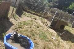IMG-20250628-WA0004