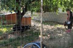 IMG-20250628-WA0005