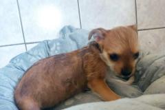 WhatsApp-Bild-2025-08-10-um-22.29.42_65f34e90