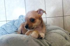 WhatsApp-Bild-2025-08-10-um-22.29.43_3265168a