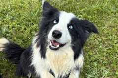 WhatsApp-Bild-2025-05-24-um-15.16.38_577a4123