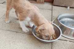 WhatsApp-Bild-2025-08-22-um-11.40.33_7c75cece