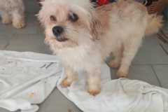 IMG-20250504-WA0055