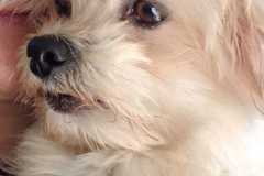IMG-20250504-WA0057