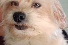IMG-20250504-WA0058