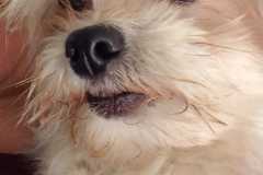 IMG-20250504-WA0059