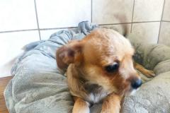 WhatsApp-Bild-2025-08-10-um-22.29.00_fe671de7