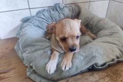WhatsApp-Bild-2025-08-10-um-22.29.01_9cf624b9