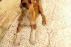 WhatsApp-Bild-2025-08-22-um-11.42.45_5aa0bf40