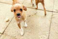 WhatsApp-Bild-2025-08-22-um-11.42.45_7977962b