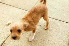 WhatsApp-Bild-2025-08-22-um-11.42.45_c1df336c