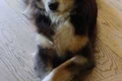 WhatsApp-Bild-2025-06-14-um-18.28.09_adc8db6f