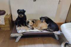 WhatsApp-Bild-2025-06-14-um-18.41.47_5d4b0ba8