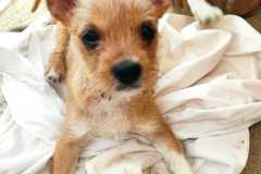 WhatsApp-Bild-2025-08-22-um-11.39.47_39c67bbe