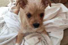 WhatsApp-Bild-2025-08-22-um-11.39.48_0001a122