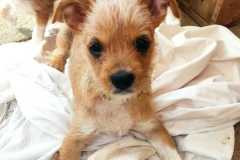 WhatsApp-Bild-2025-08-22-um-11.39.48_61c61a6a