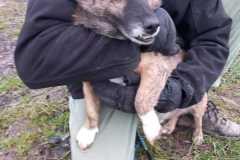 IMG-20250504-WA0016