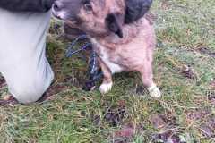 IMG-20250504-WA0018