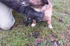 IMG-20250504-WA0020