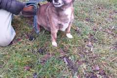 IMG-20250504-WA0021