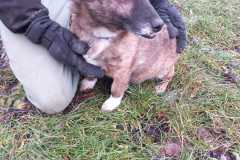IMG-20250504-WA0022