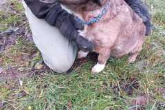 IMG-20250504-WA0023