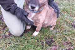 IMG-20250504-WA0024