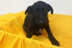 IMG-20250818-WA0020