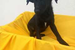 IMG-20250818-WA0022