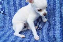 WhatsApp-Bild-2025-07-17-um-10.41.41_2d4c0865