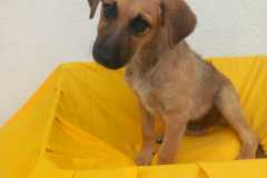 IMG-20250818-WA0023