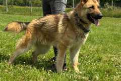 IMG-20250526-WA0001