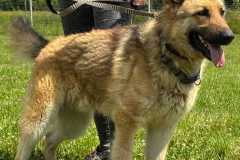 IMG-20250526-WA0002