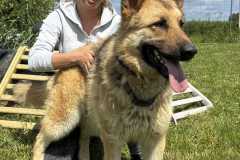 IMG-20250526-WA0004