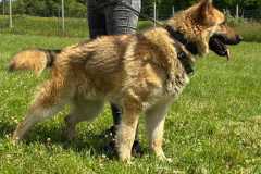 IMG-20250526-WA0005