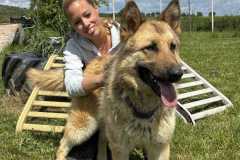 IMG-20250526-WA0007