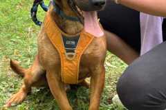 IMG-20250801-WA0002