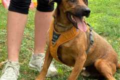 IMG-20250801-WA0006