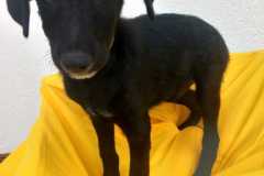 IMG-20250818-WA0009