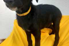 IMG-20250818-WA0012