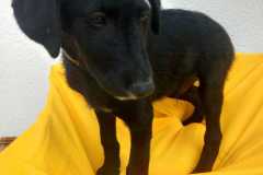 IMG-20250818-WA0013