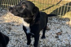 Candy-neu1