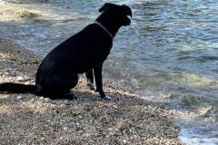 IMG-20250614-WA0022