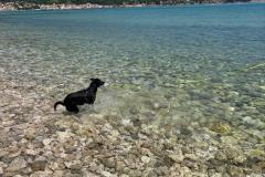 IMG-20250614-WA0024