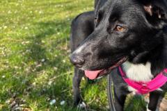 IMG-20250614-WA0026