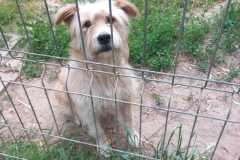 IMG-20250522-WA0001