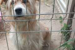 IMG-20250522-WA0002