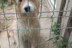 IMG-20250522-WA0003