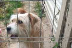 IMG-20250522-WA0004